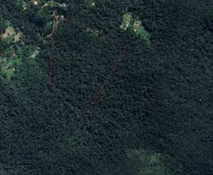 Carbon Credit - MDL La Tambocha, Bitaco, Valle del Cauca